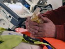 Отечественные авиационные медицинские модули